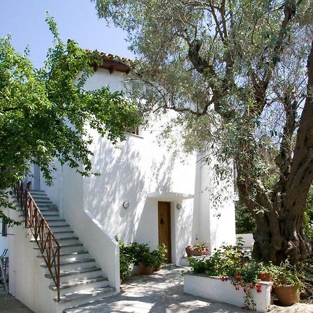 Villas Alexandra Skiathos Platanias  Exterior photo