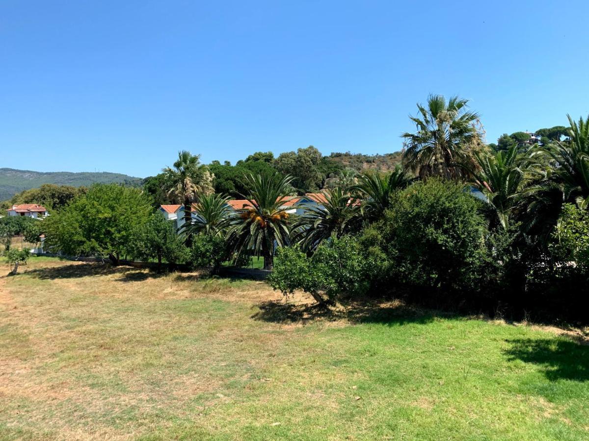 Villas Alexandra Skiathos Platanias  Exterior photo
