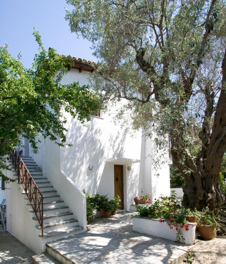 Villas Alexandra Skiathos Platanias  Exterior photo